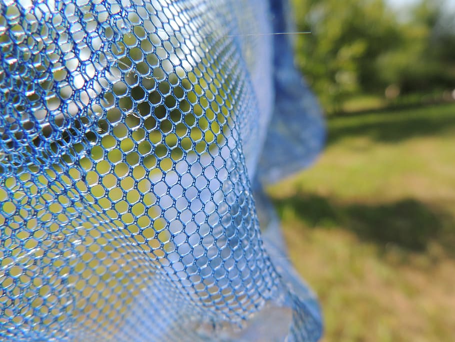 network, catch, clean, blue, close-up, sport, day, focus on foreground HD wallpaper