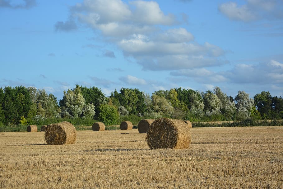 fields, nature, straw, hay, agriculture, clouds, pre, nature fields HD wallpaper