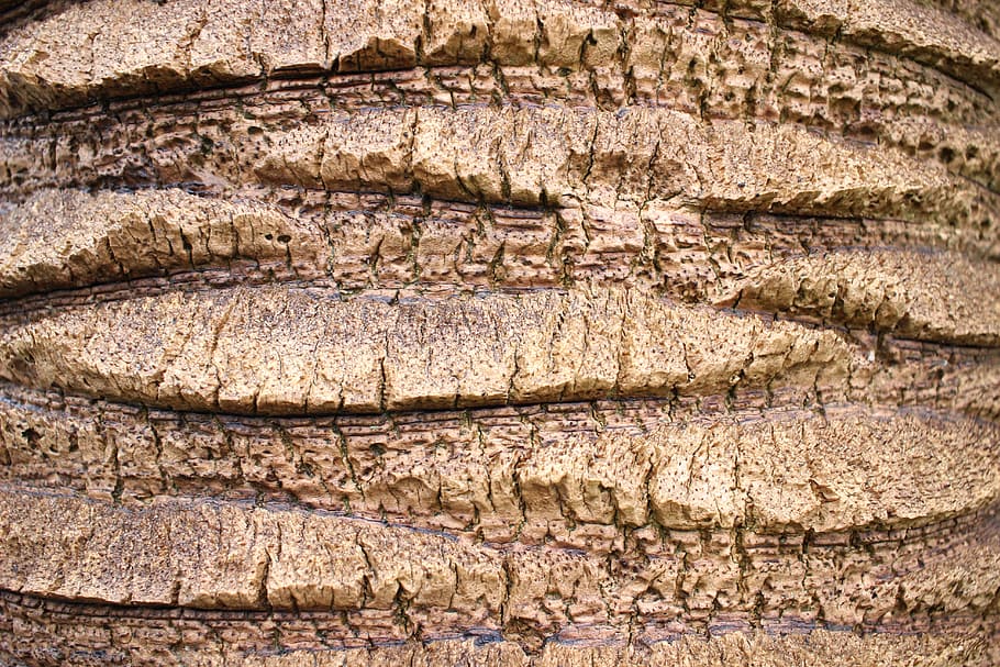 pattern, wood, wood grain, ancient, history, nature, no people HD wallpaper