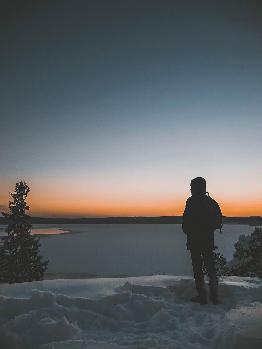 person standing in the ice, man standing on snow near tree overlooking body of water, HD wallpaper