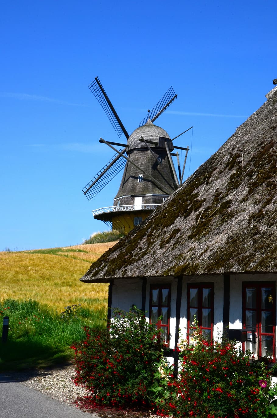 Mill, Denmark, Summer Holiday, Windmill, returned minde, sun HD wallpaper