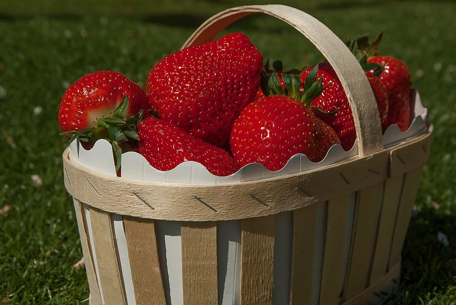 bunch of strawberry on brown basket, basket strawberries, fruit, HD wallpaper