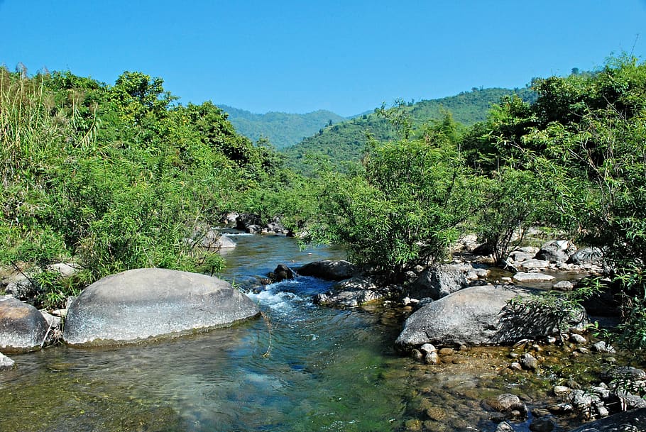 creak, mon state, myanmar, water, tree, plant, rock, beauty in nature HD wallpaper