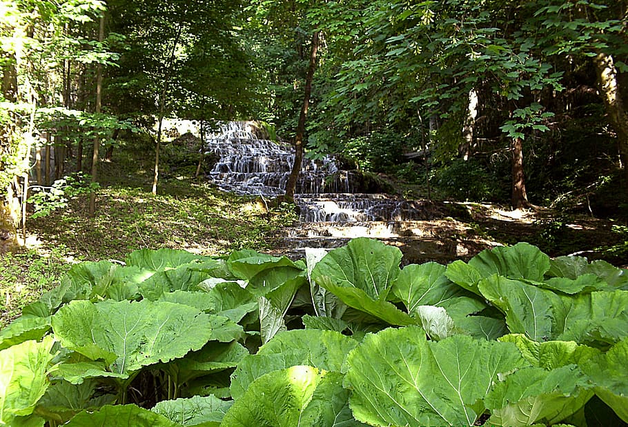 veil waterfall, szilvásvárad, nature, plant, tree, forest, HD wallpaper