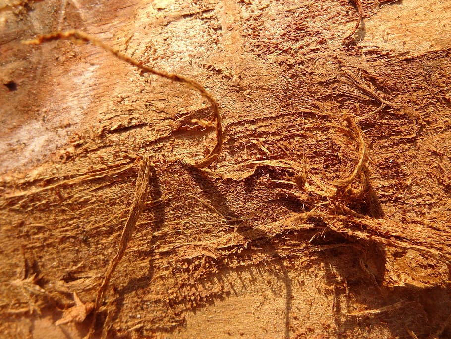 texture 4, hires, background, composition, full frame, no people HD wallpaper