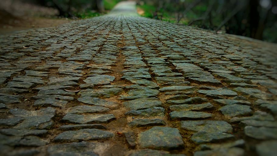 close-up photography of gray concrete pathway during daytime HD wallpaper
