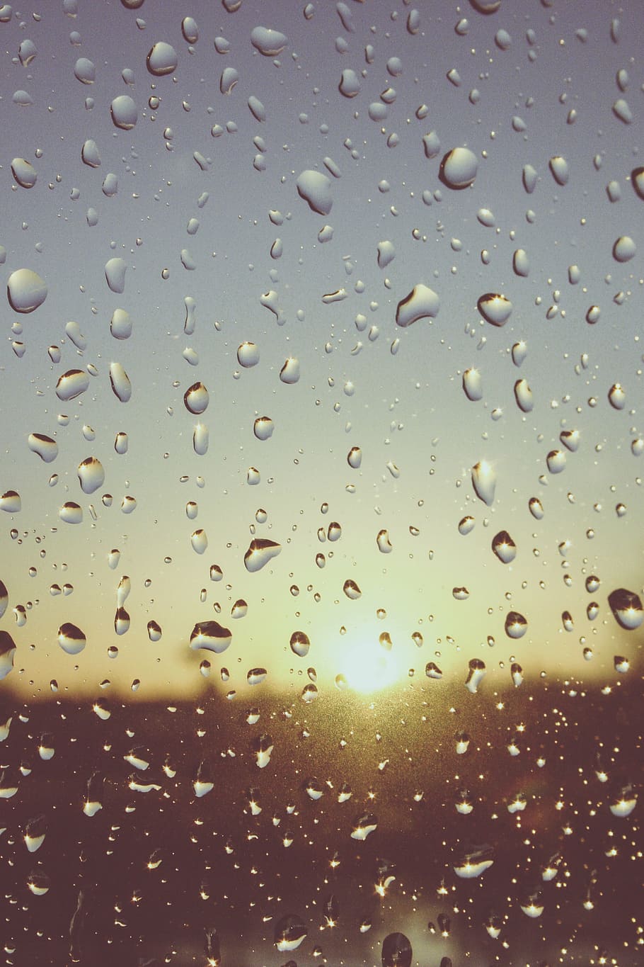 closeup photography of dew on glass, rain, drops, still, items HD wallpaper