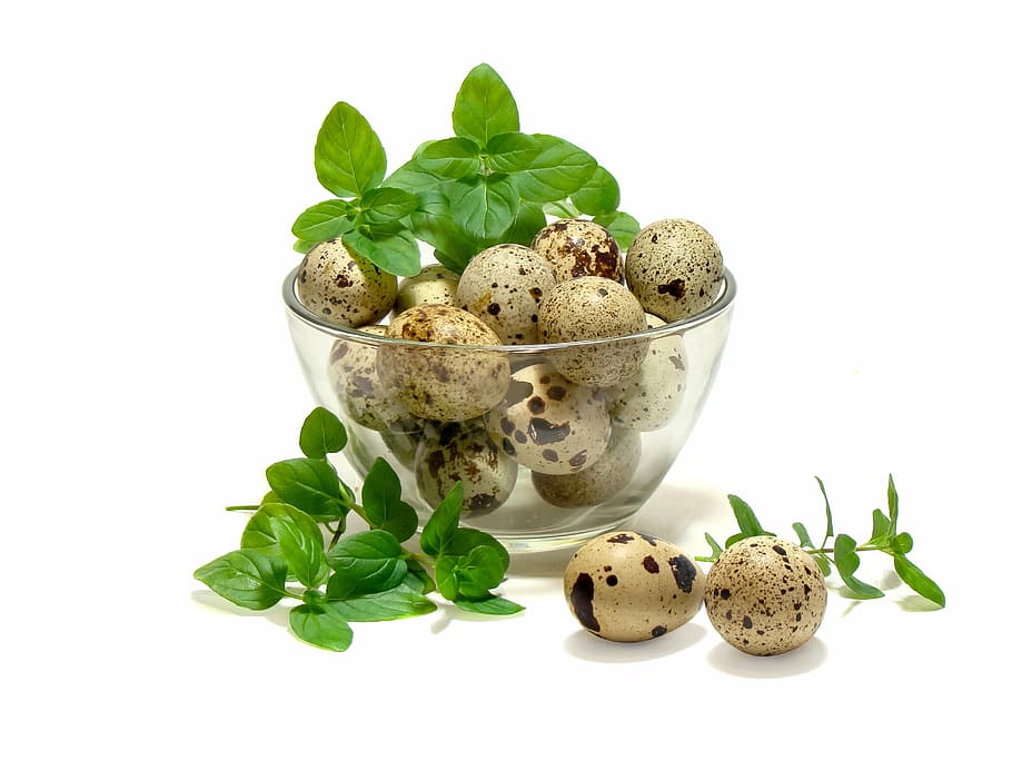 bunch of quail eggs, mint, kitchen, food, freshness, leaf, organic HD wallpaper