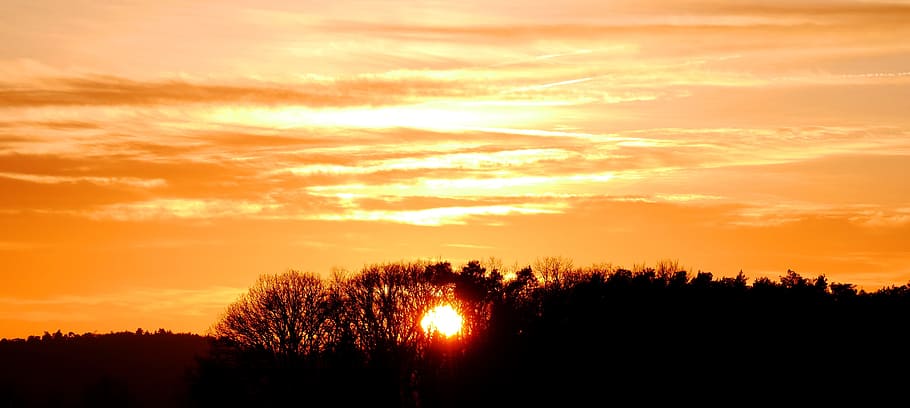 Mood, Forest, Sunset, afterglow, evening sky, tree, clouds HD wallpaper