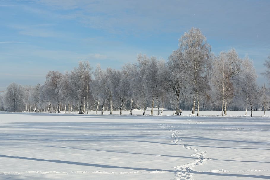 landscape, winter, snow, wintry, white, snowy, snow magic, romantic HD wallpaper