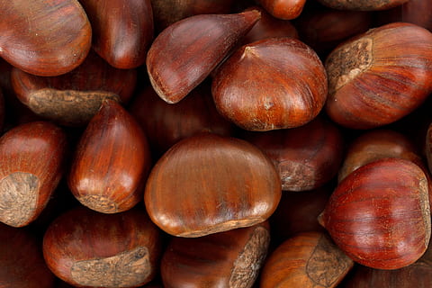 bunch of chestnuts, autumn, background, brown, fall, food, fresh HD wallpaper