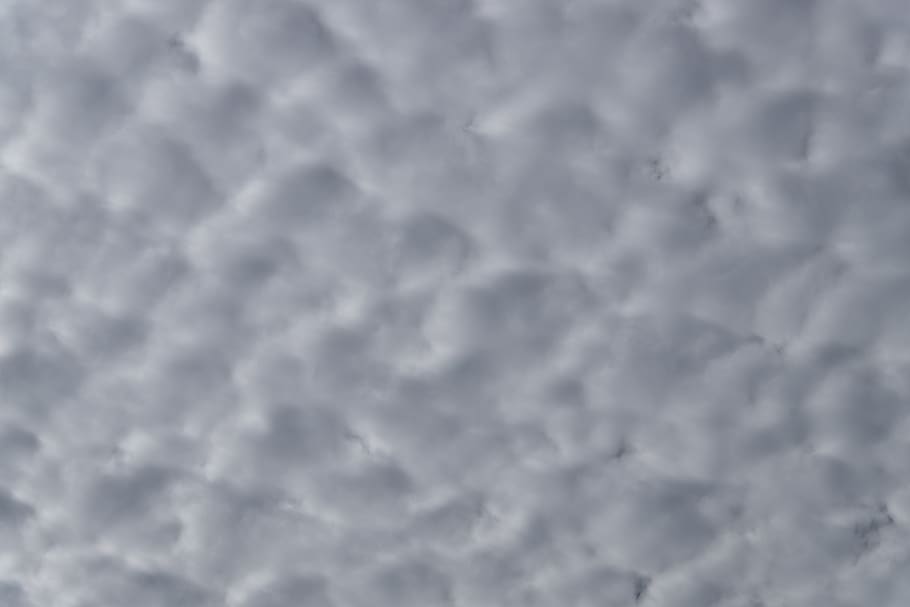 clouds, white, grey, fluffy, cirrocumulus, delicate, weather HD wallpaper