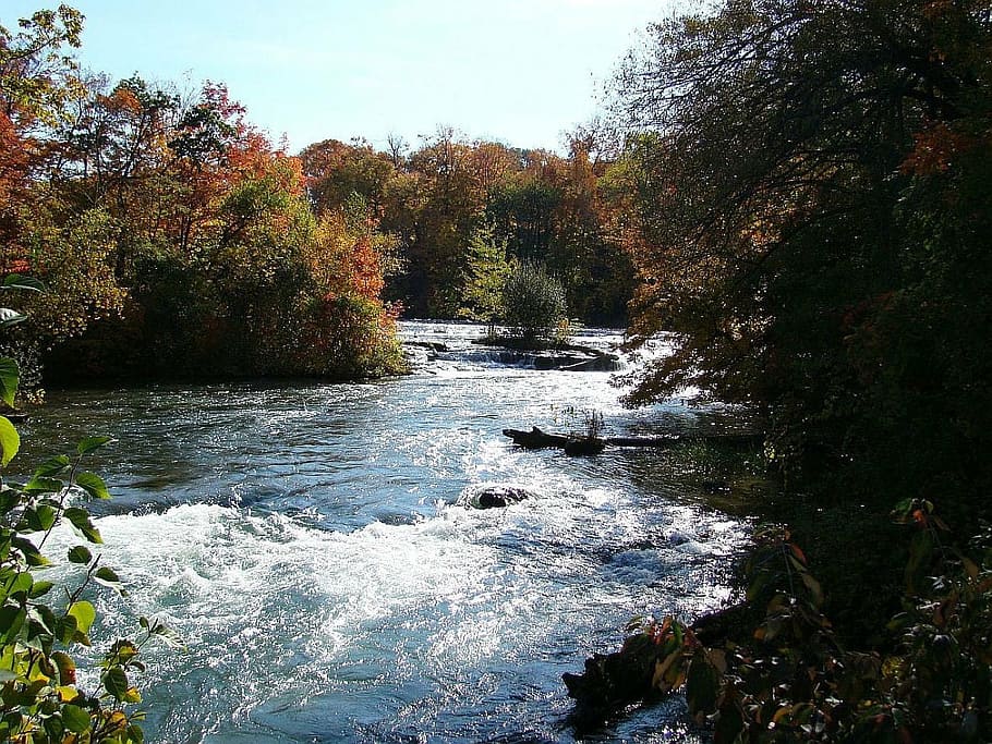 autumn, fall, tree, water, stream, nature, river, forest, outdoors HD wallpaper