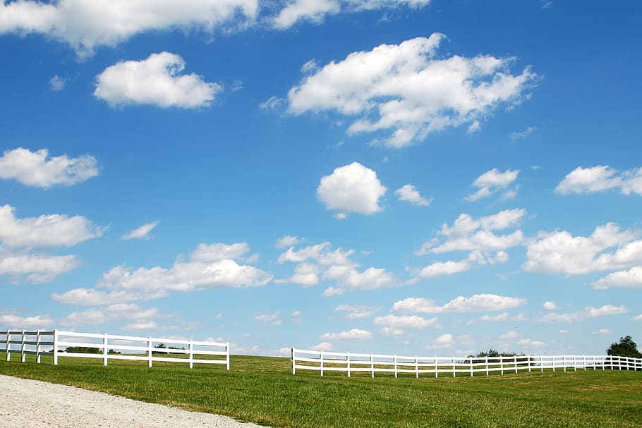 sky, clouds, grass, gate, path, cumulus, horizon, cloud - sky HD wallpaper