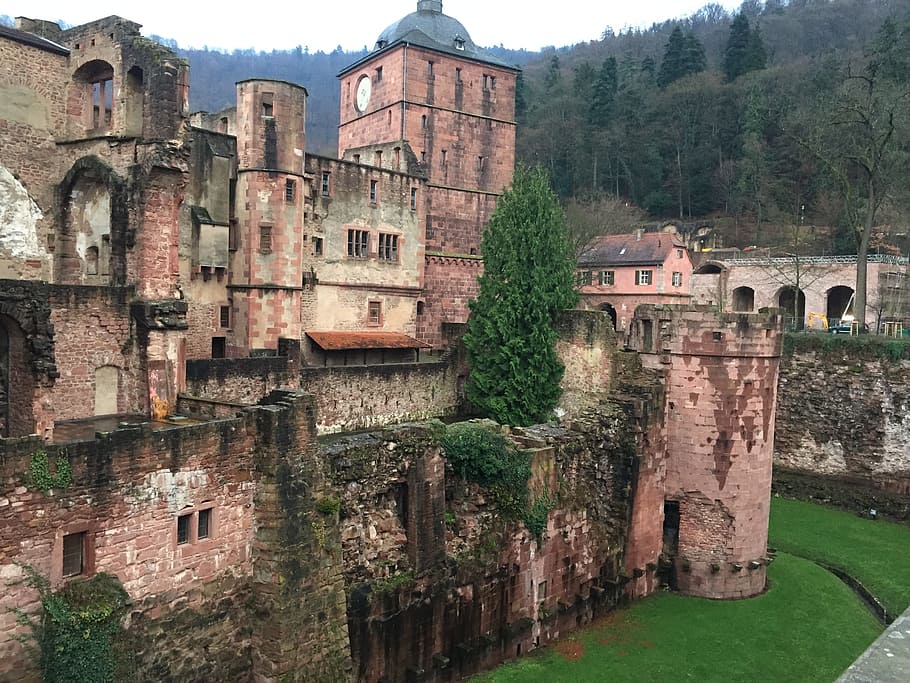 Heidelberg, Castle, Heidelberger, Schloss, heidelberger schloss