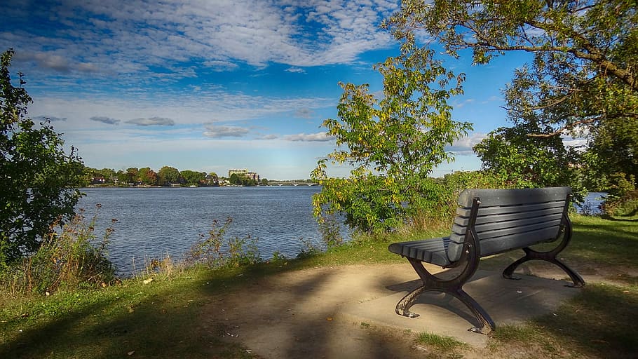 Bench, Riverside, Park, Grass, Fall, no people, tree, nature HD wallpaper