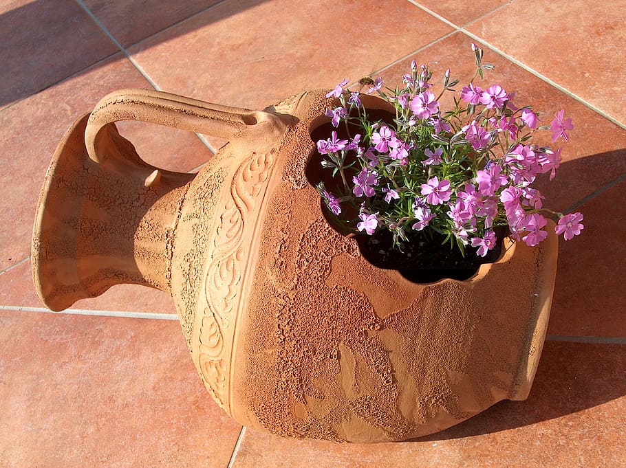 purple petaled flowers in brown clay pot, summer, plant, pink