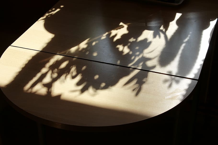 table, shadow, hispanic, plant, studio shot, no people, indoors HD wallpaper