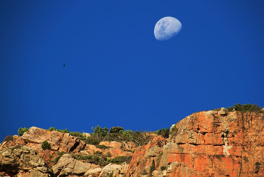 moon, half moon, sky, blue, mountains, moonrise, atmosphere HD wallpaper