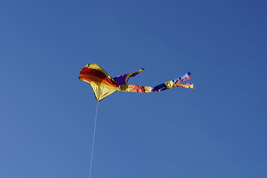 dragons, kite flying, sky, blue, autumn, wind, dragon rising HD wallpaper