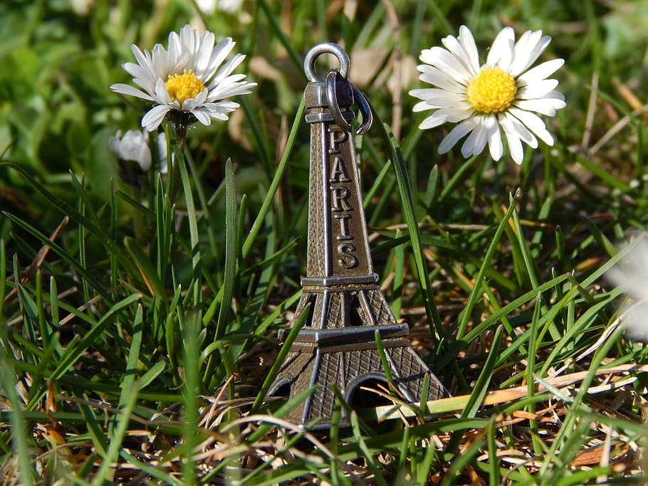 Daisies, Grass, Spring, Tower, Green, yellow, white, flower HD wallpaper