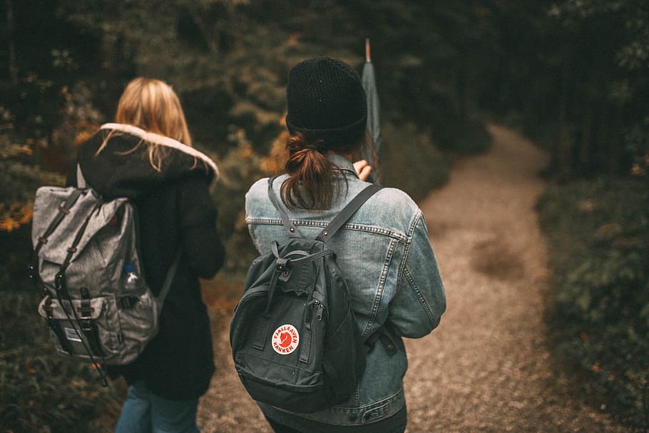 nature, people, walking, friends, backpack, environment, forest HD wallpaper