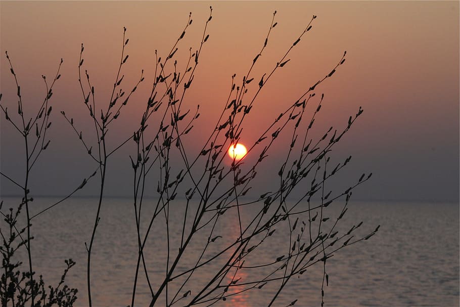 sunset, dusk, sky, water, horizon, lake, scenics - nature, beauty in nature HD wallpaper