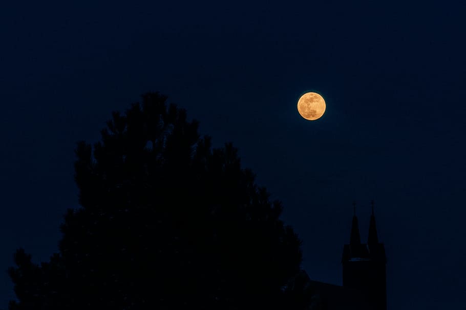 silhouette photo of tree during full moon, lunar, moon, night, sky, night sky HD wallpaper