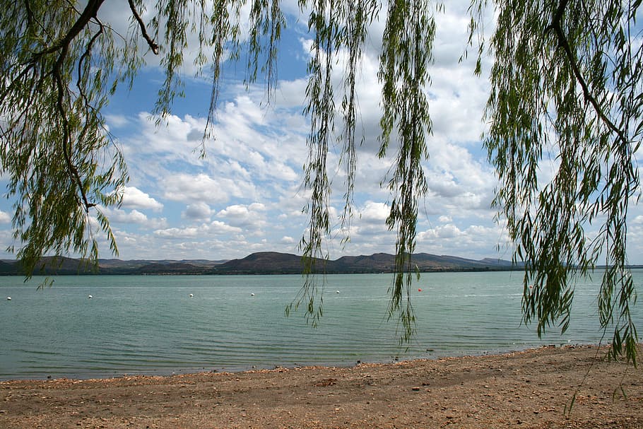 Dam, Water, Lake, Tree, Willow, boughs, shore, nature, tranquility HD wallpaper