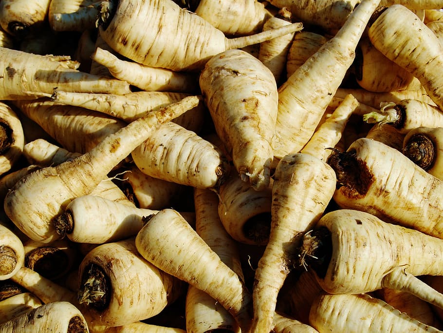 root, vegetable, food, fresh, organic, healthy, natural, vegetarian HD wallpaper