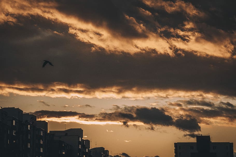 time lapse photography of city under sunset, silhouette of high-rise buildings HD wallpaper