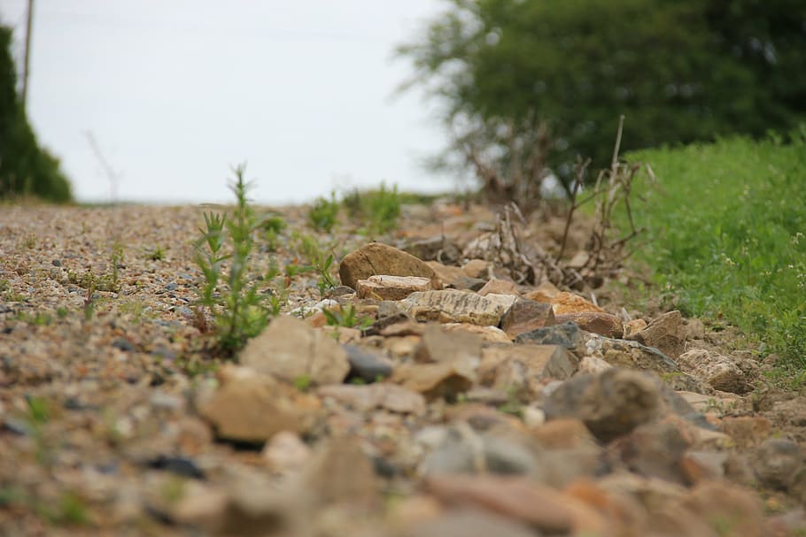 path, pierre, nature, selective focus, land, plant, no people HD wallpaper