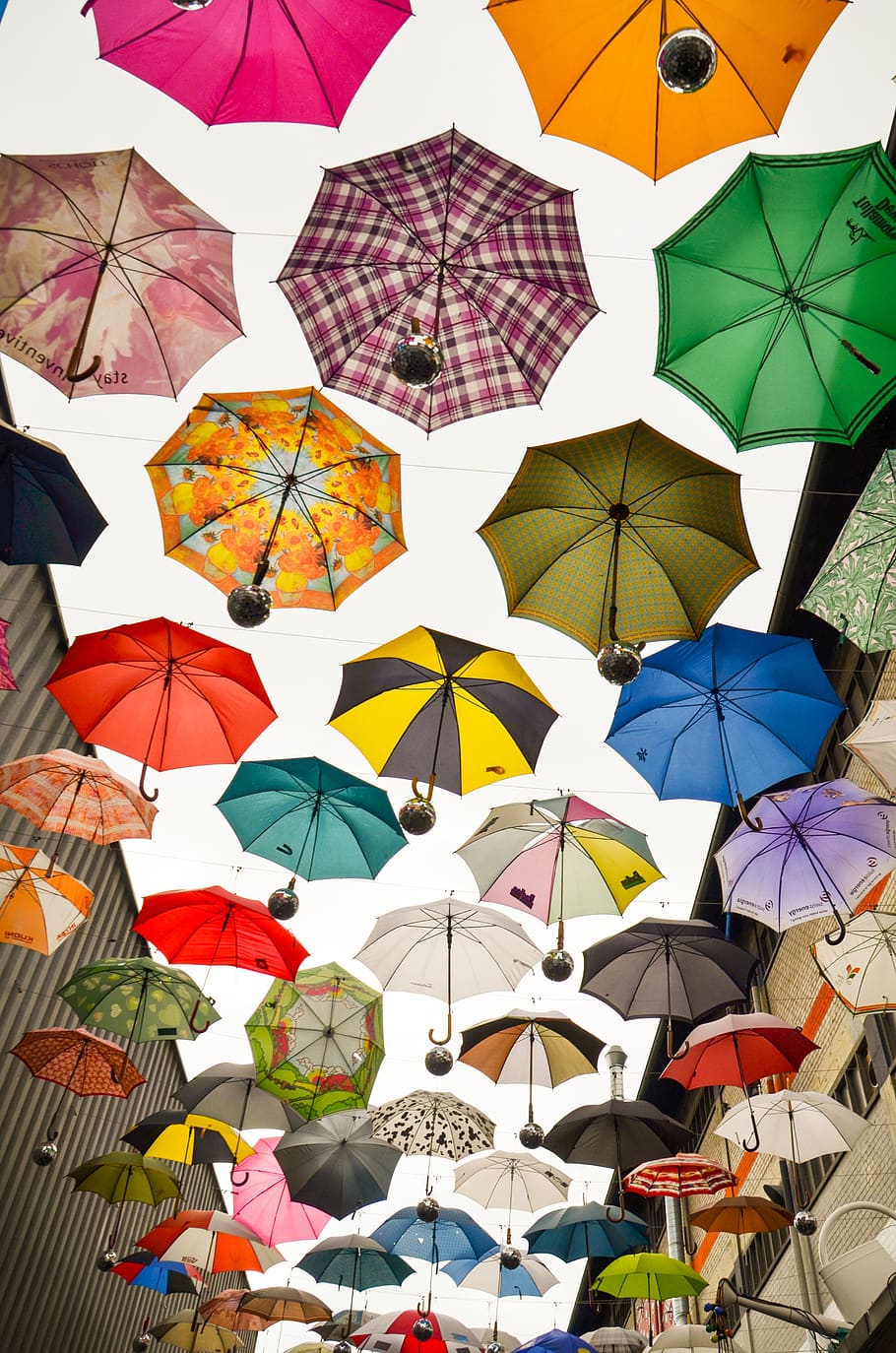 umbrella, protection, parasol, rainy weather, april weather, HD wallpaper