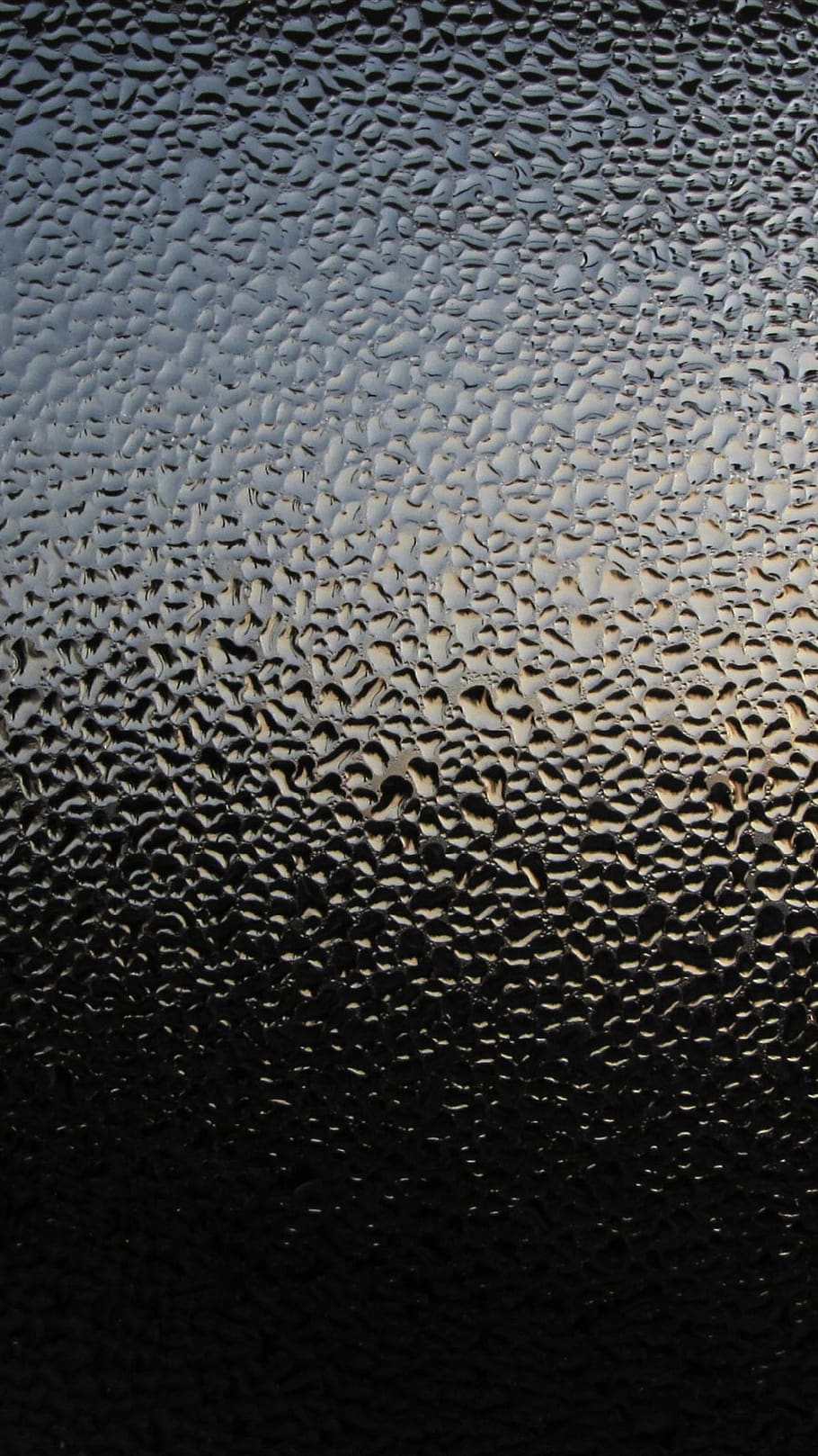 rain, dew, disc, full frame, pattern, backgrounds, no people HD wallpaper