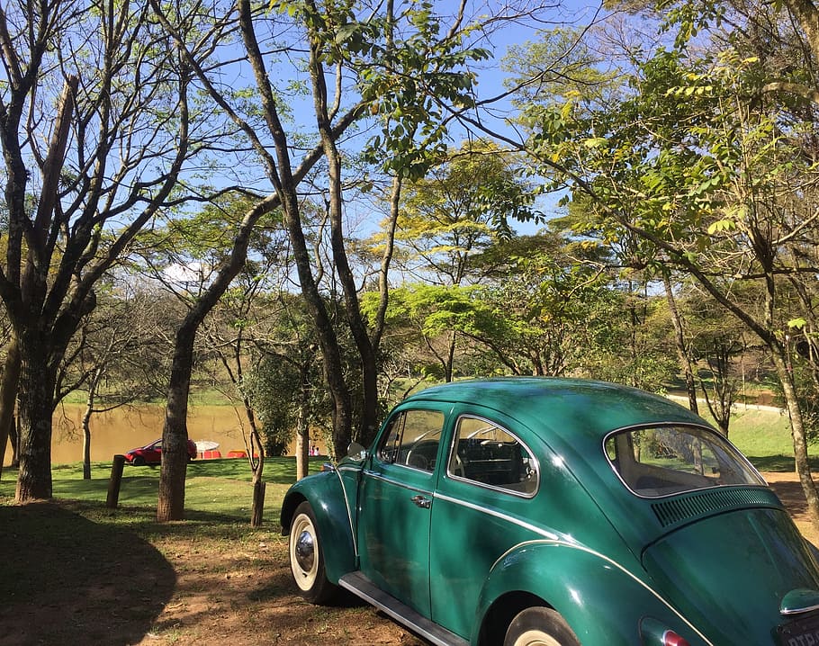 fusca, nature, landscape, tree, mode of transportation, car HD wallpaper