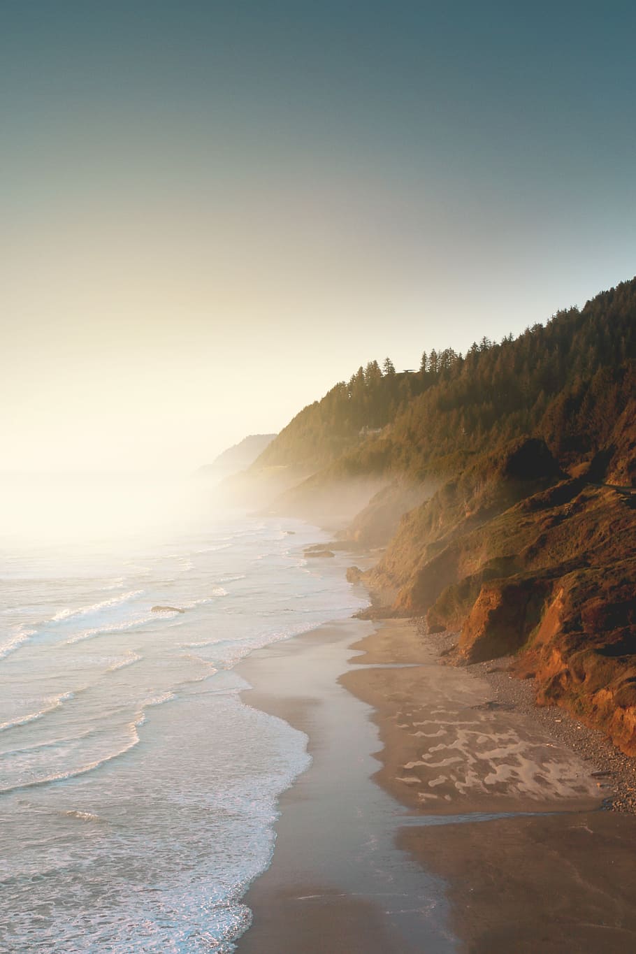 cliff with trees near shore during daytime, top angle photo of seashore covered with fog at daytime HD wallpaper