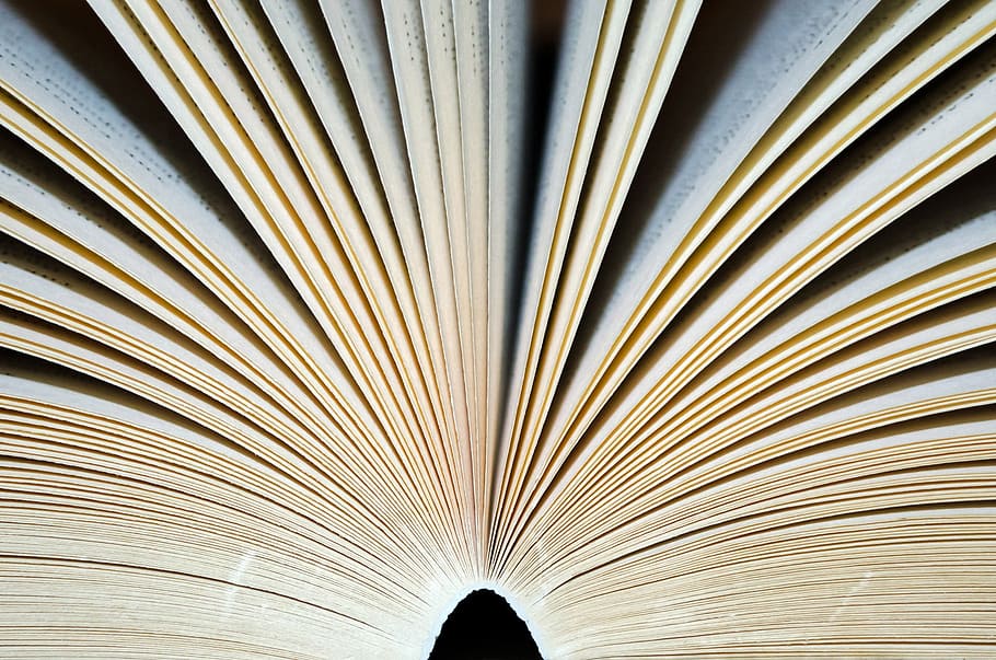 white book, open, page, pages, books, adventure, knowledge HD wallpaper