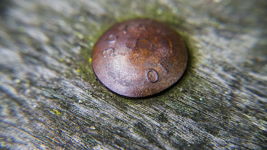 bolt, rust, wood, rivet, metal, old, nail, close-up, textured HD wallpaper