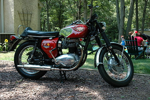 Motorcycle, Bsa, Shiny, tree, transportation, biker, day, adult HD wallpaper