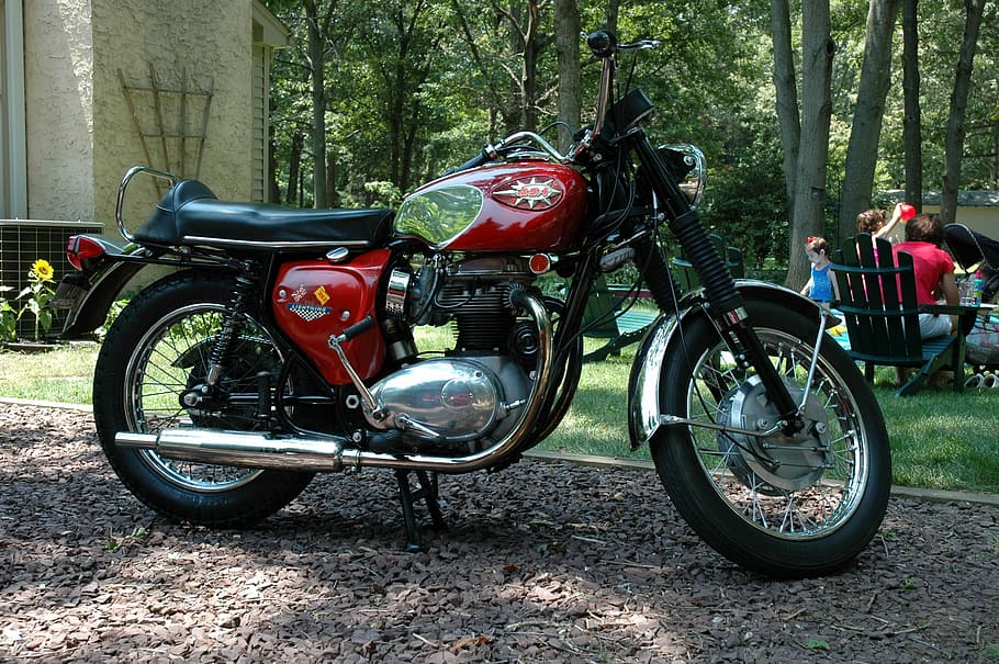Motorcycle, Bsa, Shiny, tree, transportation, biker, day, adult HD wallpaper