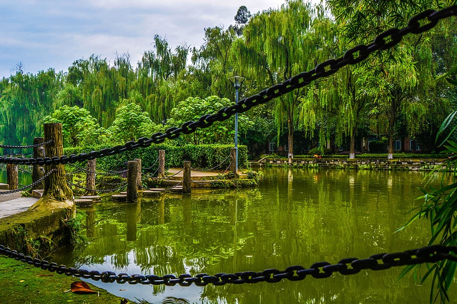 Chains, Stakes, Lake, the chains, reflection, tree, green color HD wallpaper