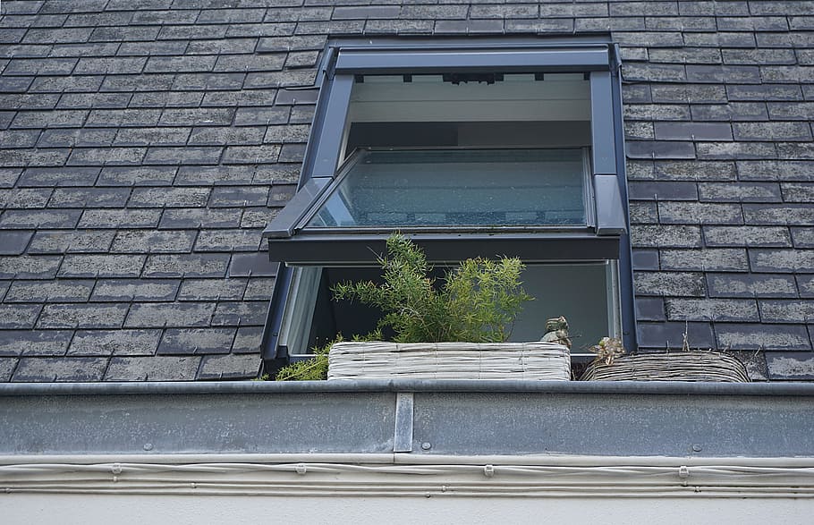 window, glass, plants, roof, bricks, concrete, house, home HD wallpaper