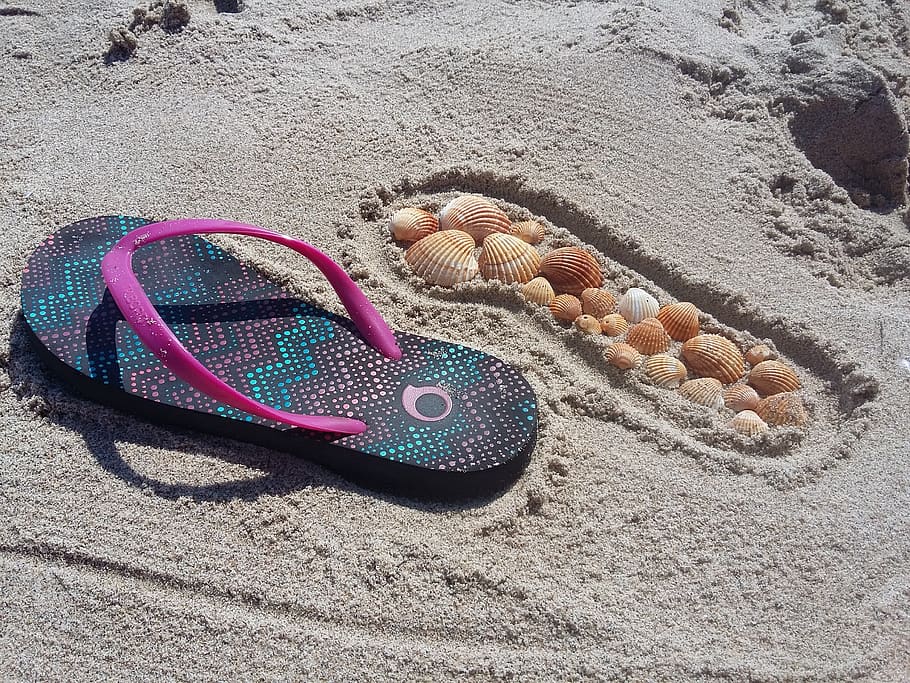 summer, flip flops, sand, shells, beach, land, high angle view HD wallpaper