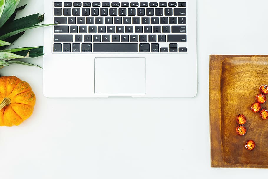 computer, food, keyboard, laptop, pumpkin, technology, tray HD wallpaper