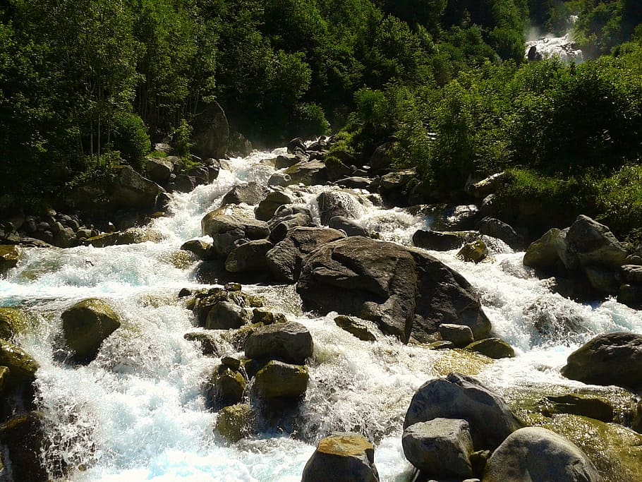 river, water, flow, stones, nature, tree, beauty in nature HD wallpaper