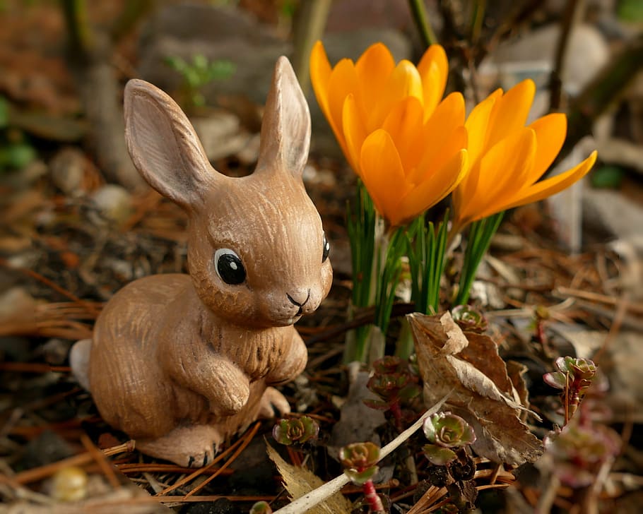 brown rabbit figurine beside orange flowers, easter, easter bunny HD wallpaper