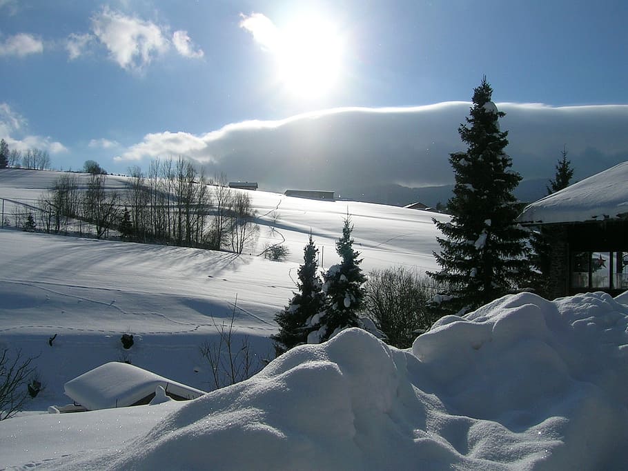 wide angle photo snowy mountain, winter, tree, back light, frost HD wallpaper