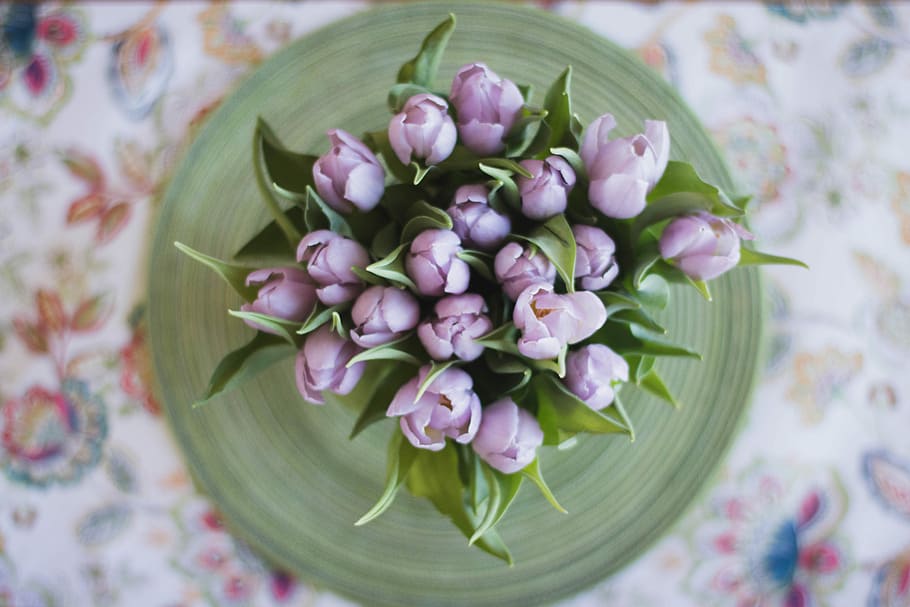 top view photo of purple petaled flowers in vase, photo of purple tulip HD wallpaper