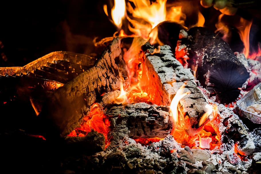 charcoal and wood with fire, flame, campfire, barbecue, firewood HD wallpaper