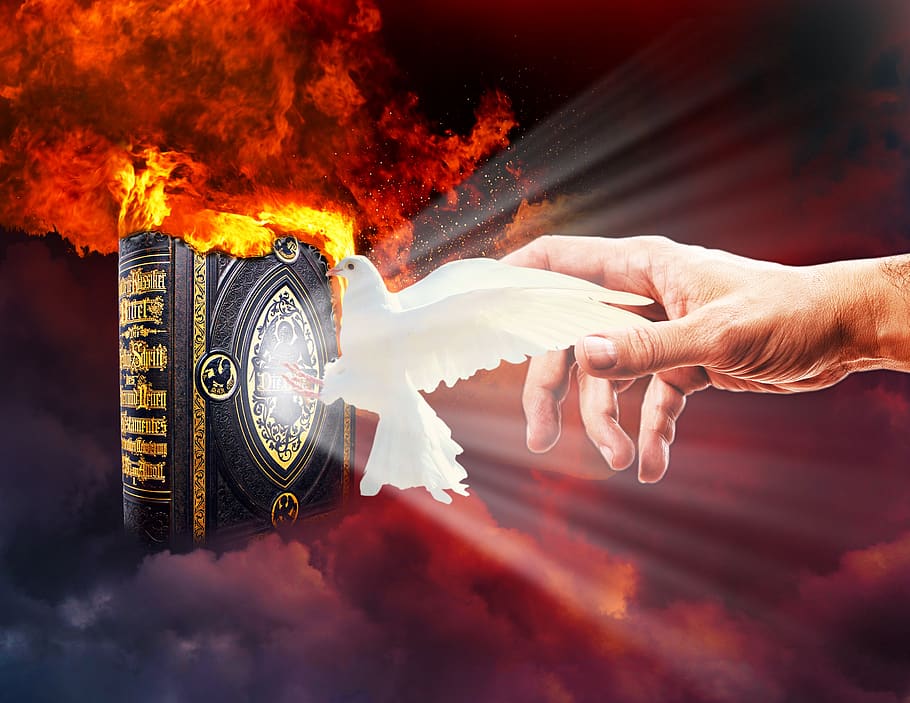 people, bible, dove, clouds, fire, hand, flame, heat, burning, HD wallpaper